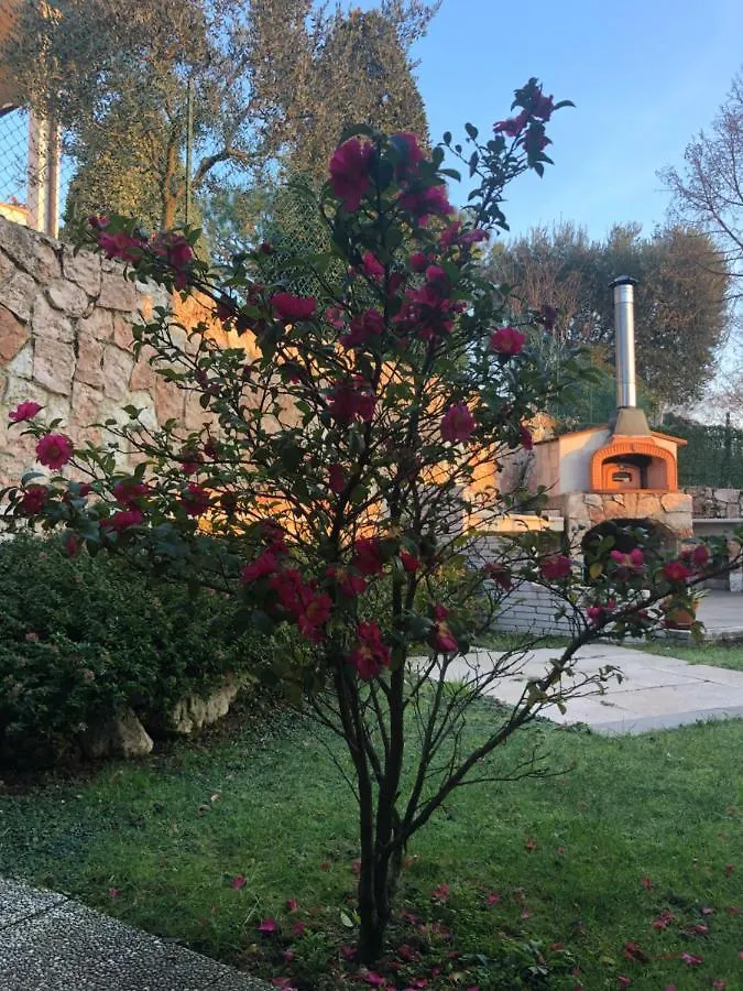 B&B Damiano location